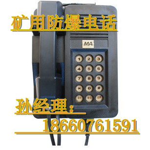 KTH-3防爆電話機價格_KTH-3防爆電話機,KTH-33防爆電話廠家批發_.