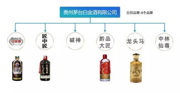 茅臺酒的珍品價值與完整產品圖譜